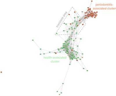 The Oral Microbiome in <mark class="highlighted">Periodontal Health</mark>